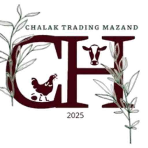 Chalak Mazand لوگو